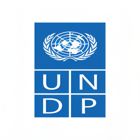 Reporting and Evaluation Analyst